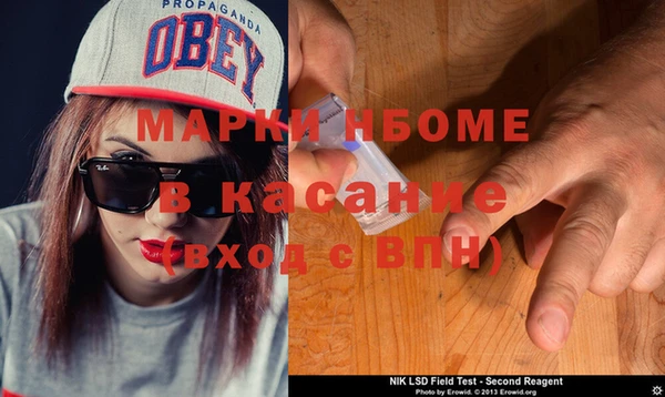 амф Липки