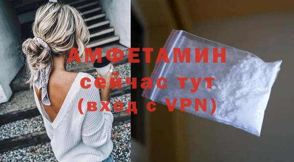амф Липки