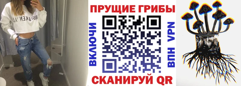 МЕГА онион закладка Ухта Псилоцибиновые грибы мухоморы