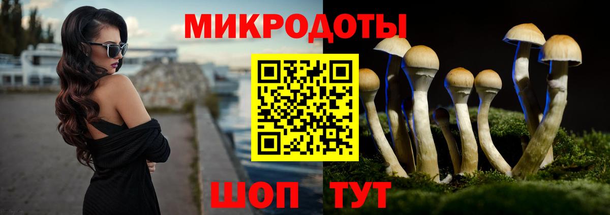 Галлюциногенные грибы Cubensis  Вход с VPN  Ухта 
